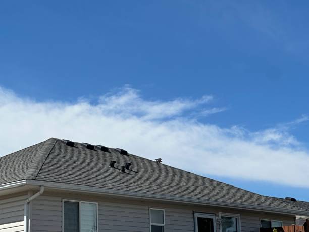 Best Roofing for New Construction  in Elkhart, IN